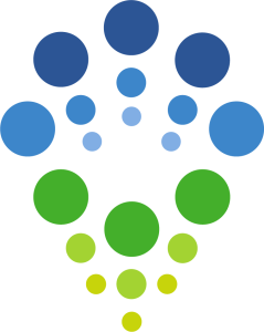IFRSology